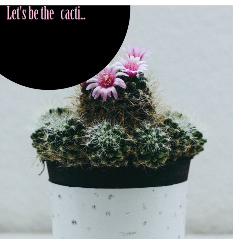 Let’s be the cacti… – Short Motivational Story by Bobby George