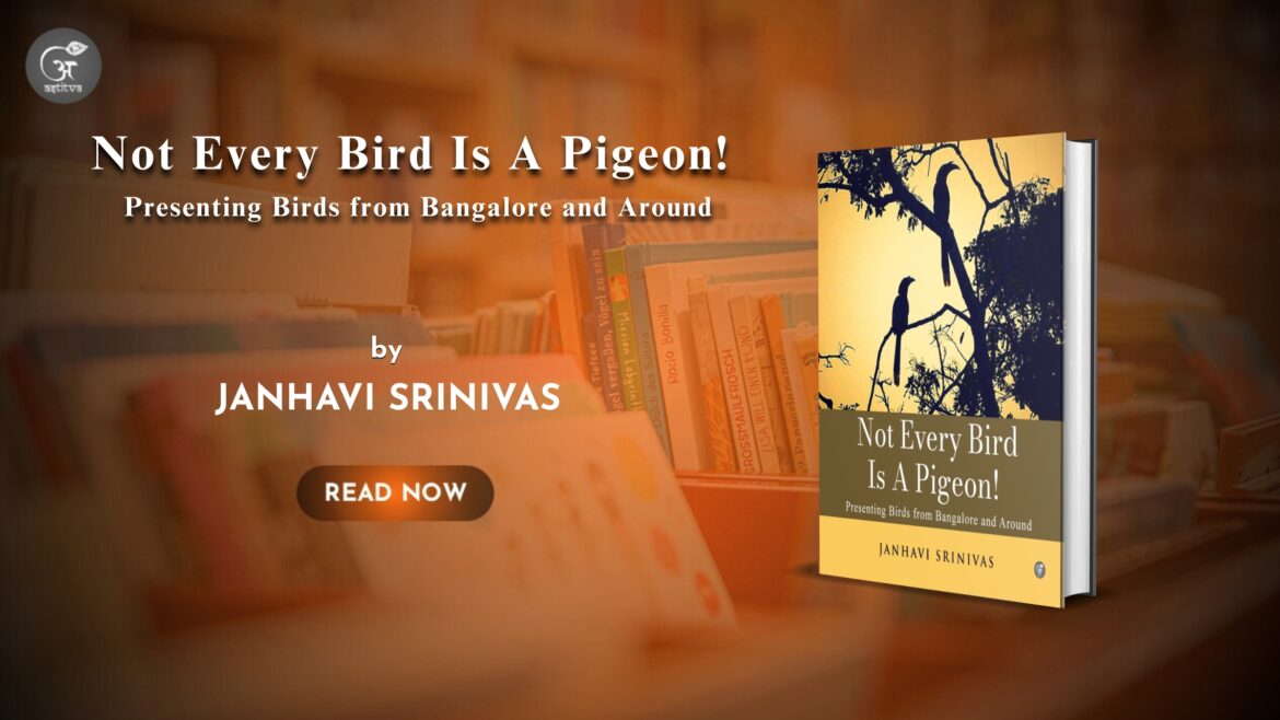 Book Release: Not Every Bird Is A Pigeon! by Nhavi Srinivas