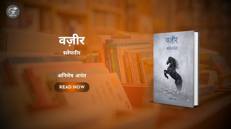 शीर्षक: वज़ीर: स्लेपनीर लेखक: अनिमेष अनंत