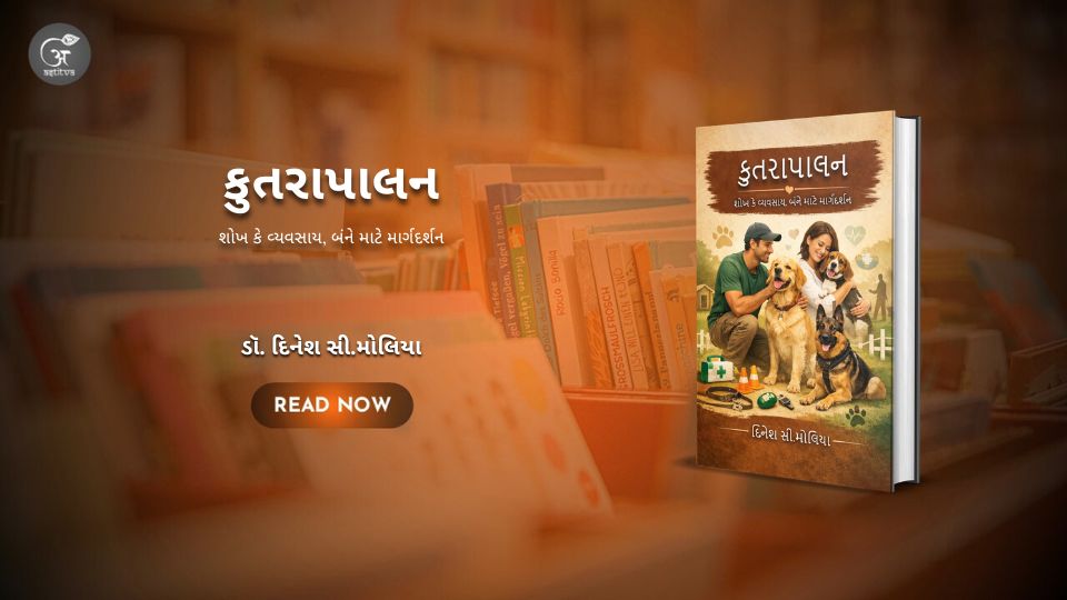 Book Release Article