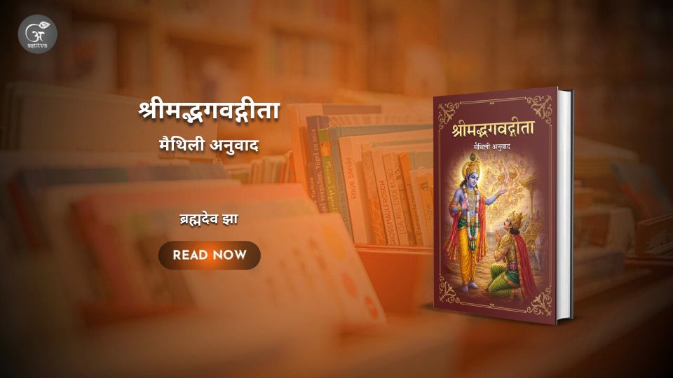 पुस्तक विमोचन लेख
